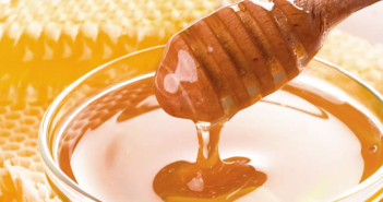 dolci al miele per dieta